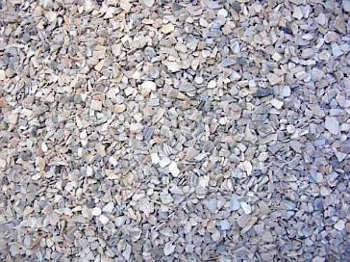 Ostrea Muschelschalenschrot 5 kg – Muschelkalk für Hühner